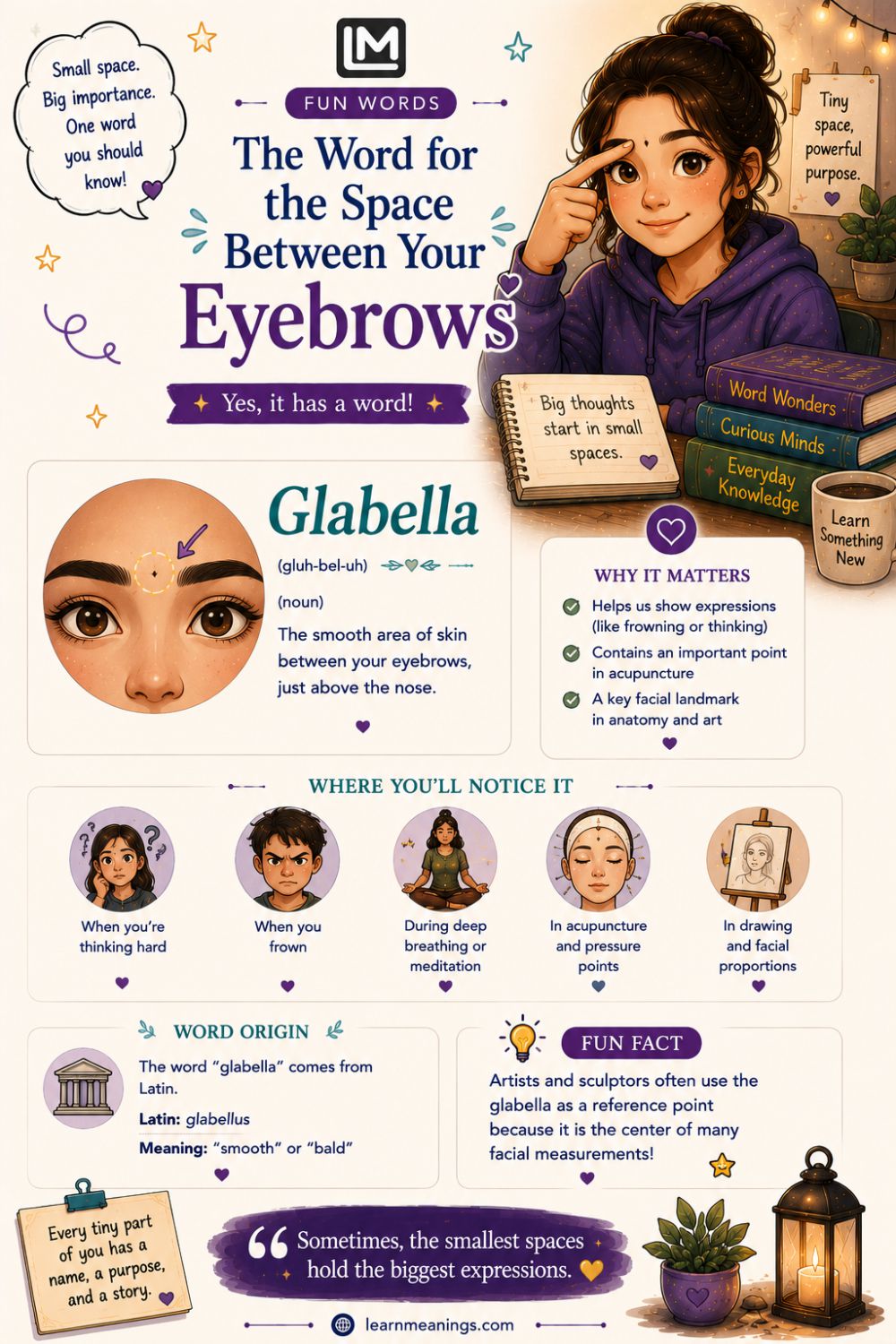 The Word for the Space Between Your Eyebrows (Glabella) and 40+ Anatomy Terms