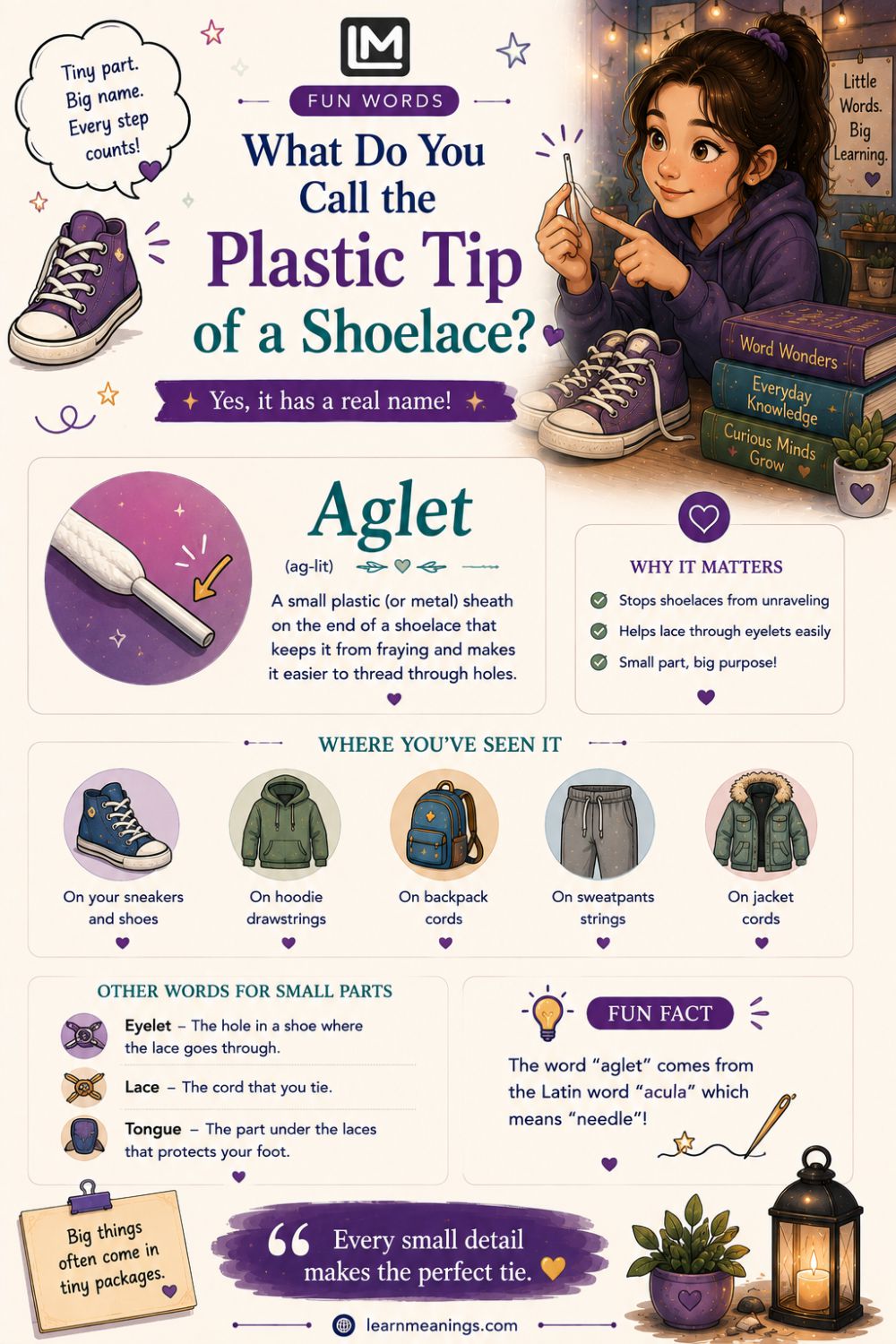 What Do You Call the Plastic Tip of a Shoelace? (Aglet)