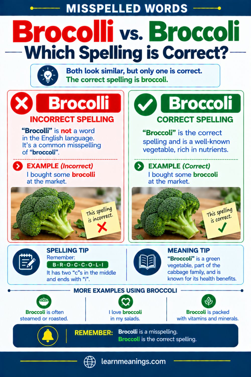 Brocolli vs. Broccoli: Which Spelling is Correct?