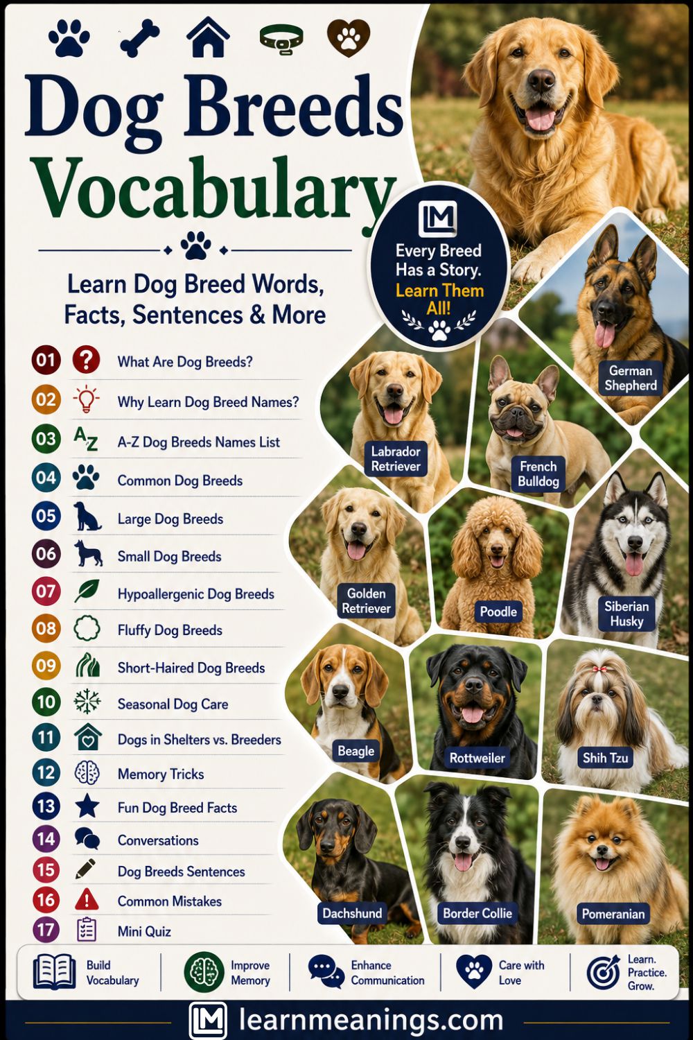 Dog Breeds Vocabulary List