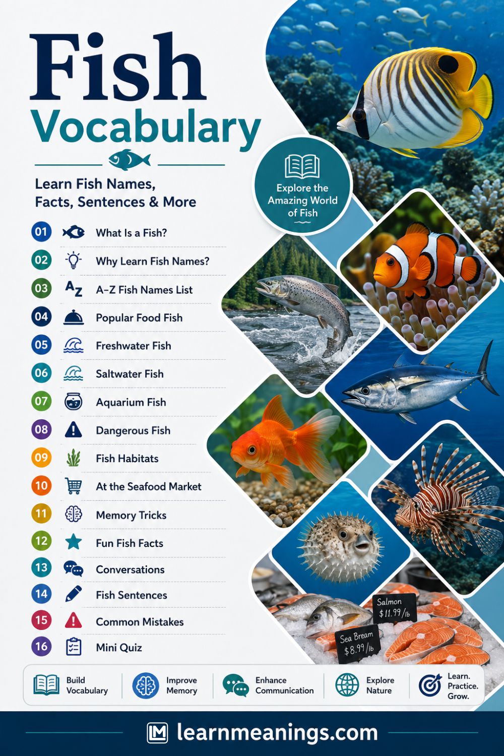 150+ Types of Fish Names in English