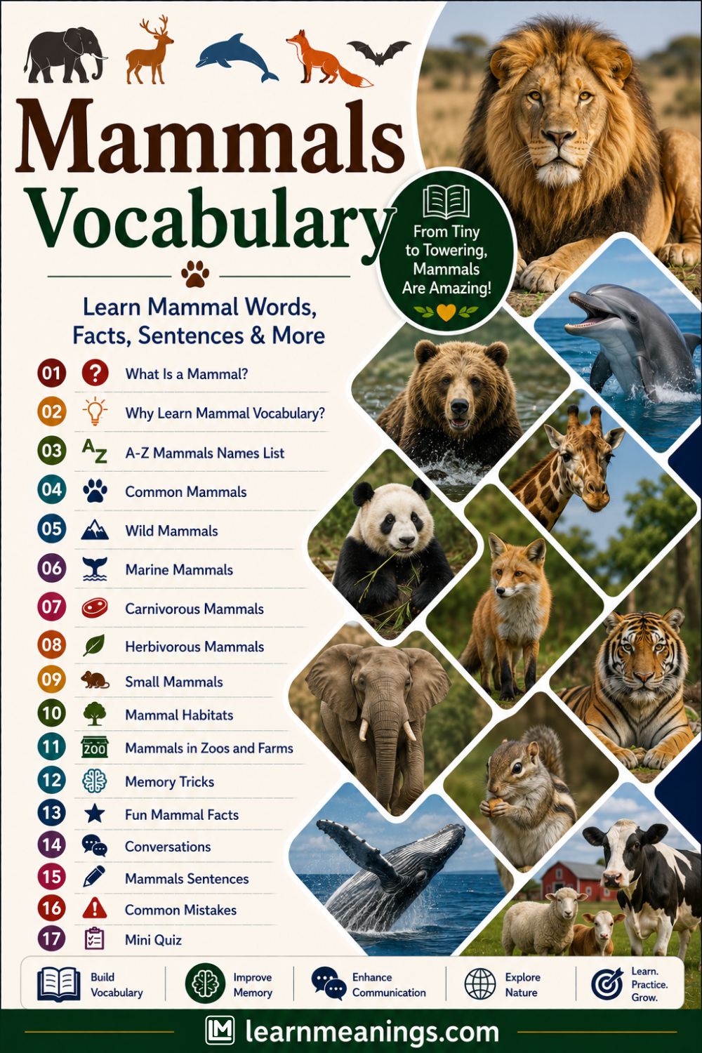 Mammals Vocabulary List