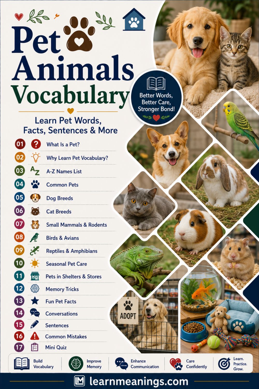Pet Animals Vocabulary List