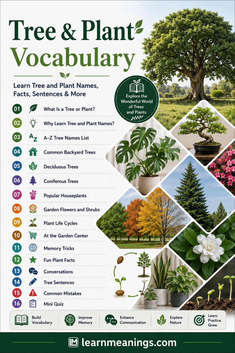200+ Tree and Plant Names in English