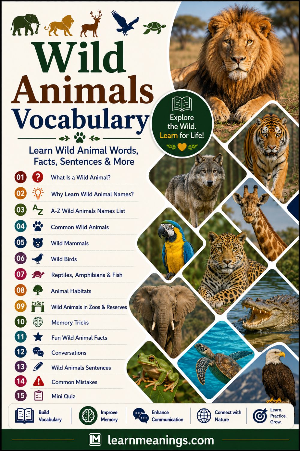 Wild Animals Vocabulary List